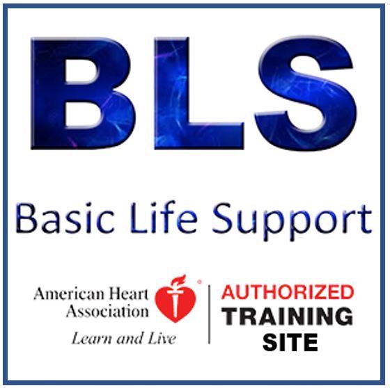 AHA CPR (Basic Life Support for Health Care Providers) ONLINE-HYBRID